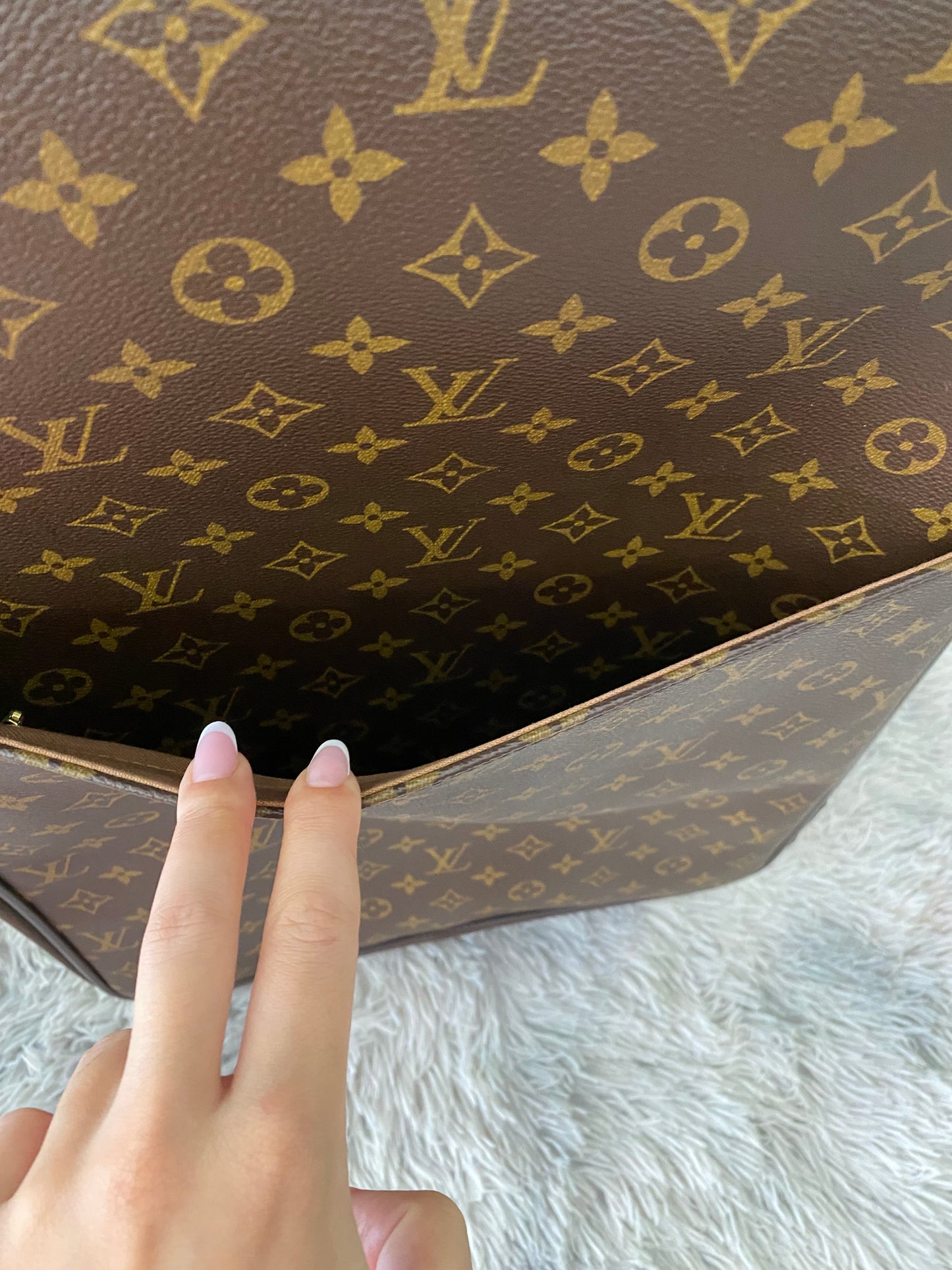Valigia Louis Vuitton Pegase 55