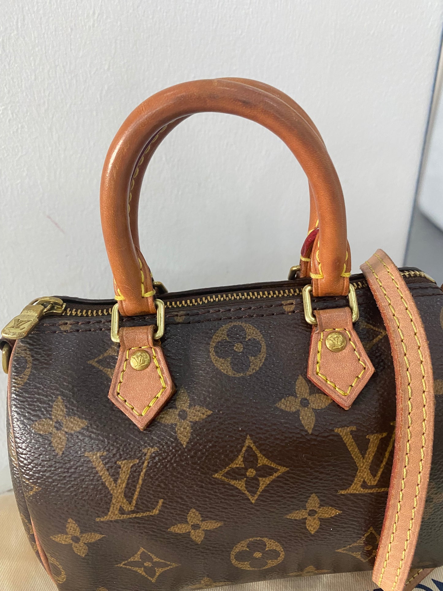 Borsa Louis Vuitton Nano Speedy