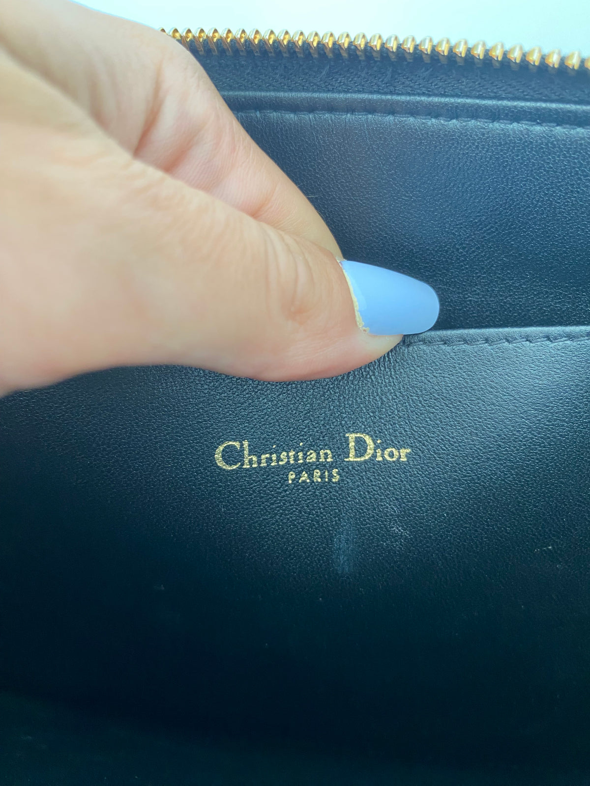 Pochette Daliy Dior Caro grande