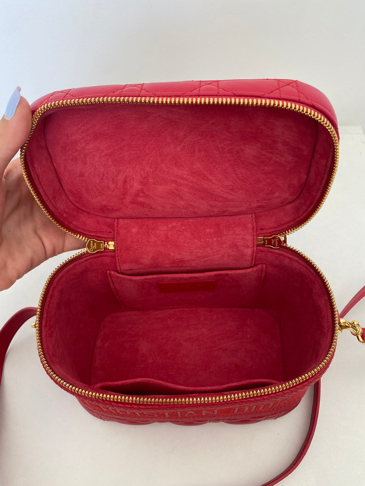 Borsa Dior Vanity Case