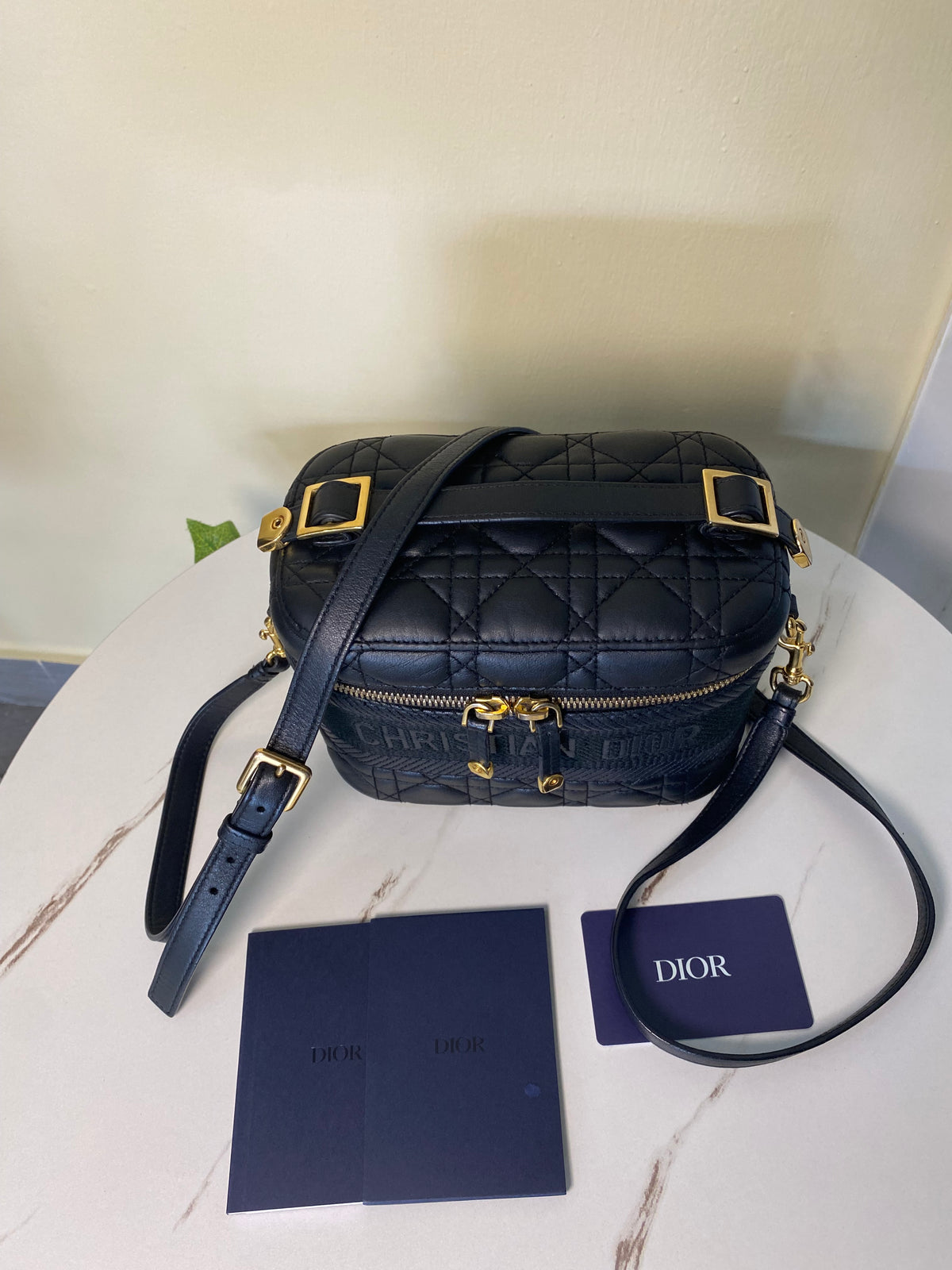Borsa Dior Vanity Case