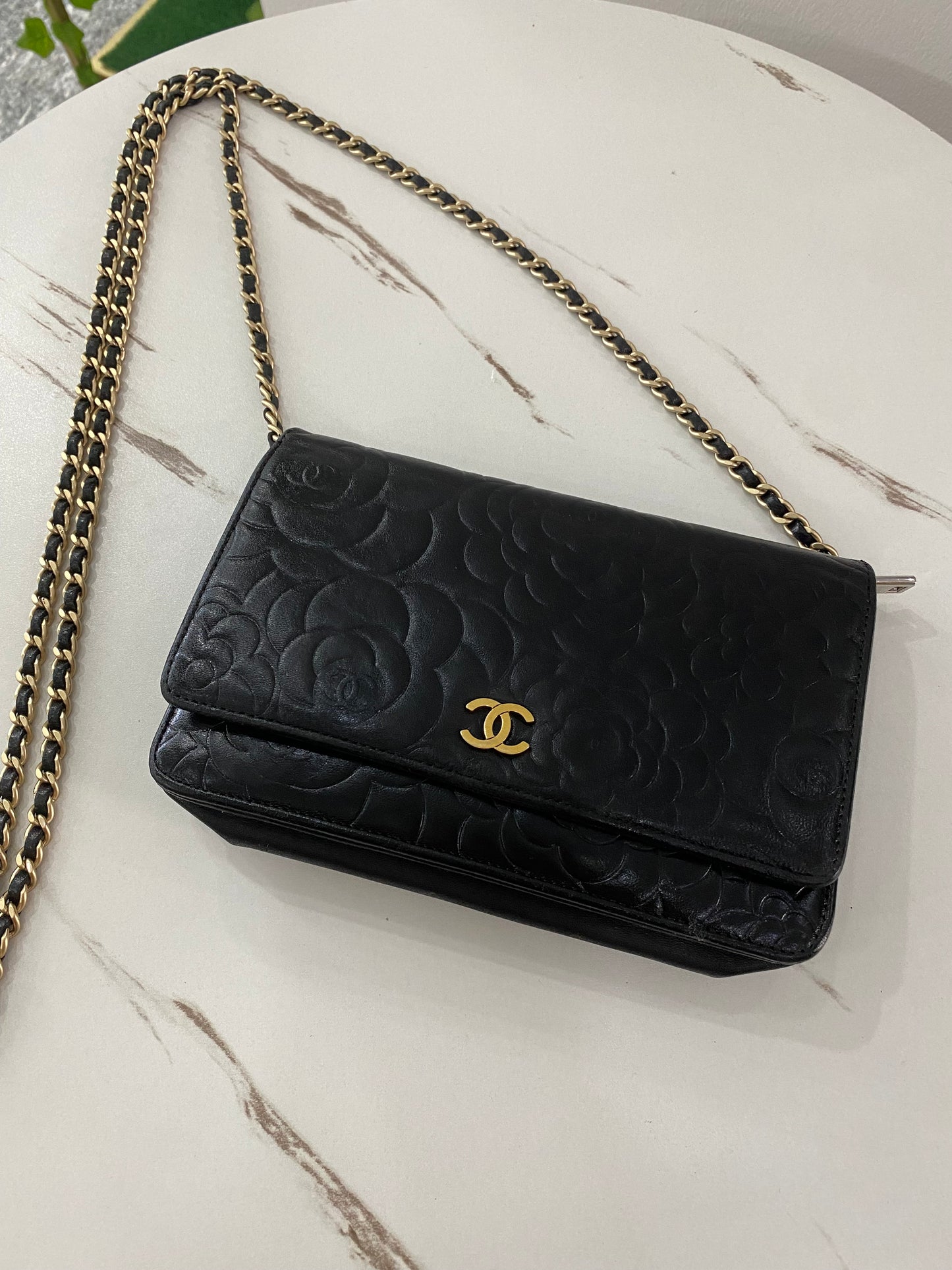 Borsa Chanel Wallet