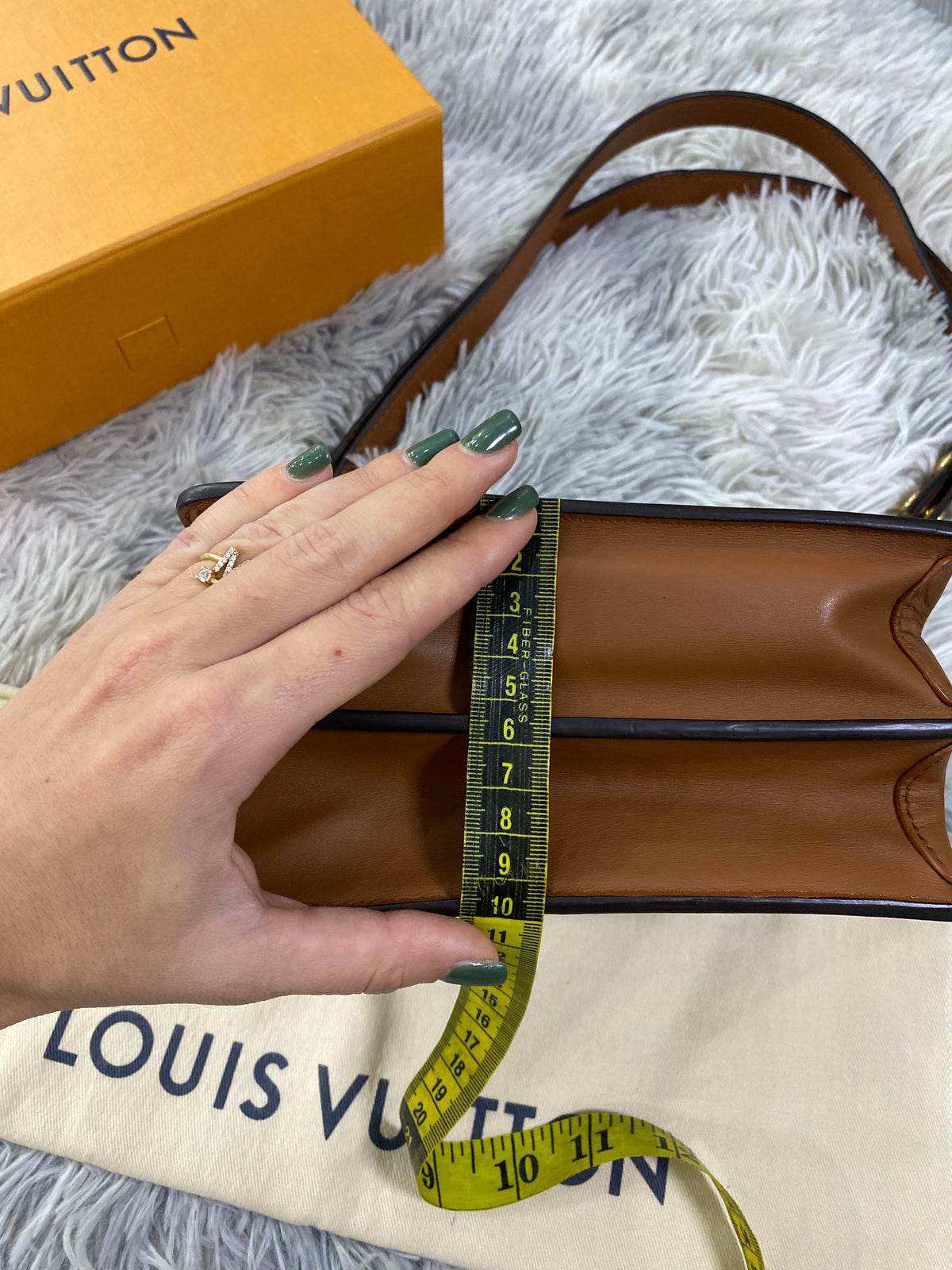 Borsa Louis Vuitton Dauphine Mini Reverse